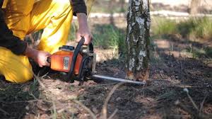 Lawn Irrigation Installation and Maintenance in Blue Point, NY