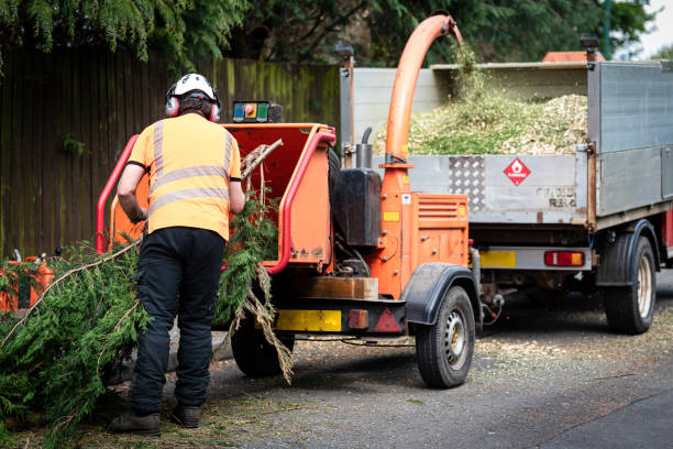 Best Utility Line Clearance  in Blue Point, NY