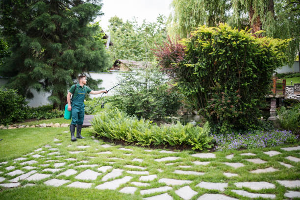 Best Fruit Tree Pruning  in Blue Point, NY